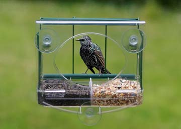 Pigeon Proof Window Feeder WITHOUT suet block holder